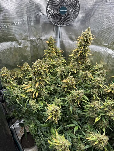 Growreport Bild 10