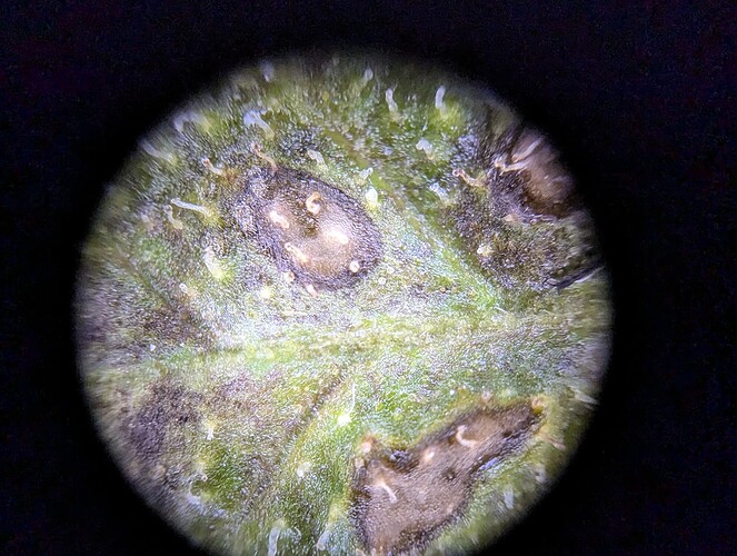 PXL_20240803_115313716