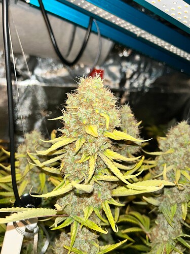 Growreport Bild 13