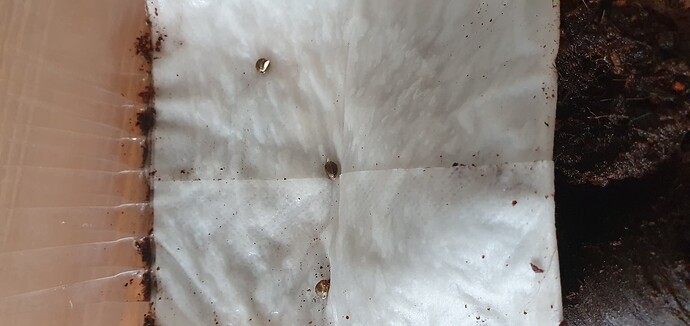 foto_no_exif