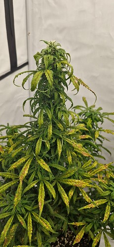 Growreport Bild 26