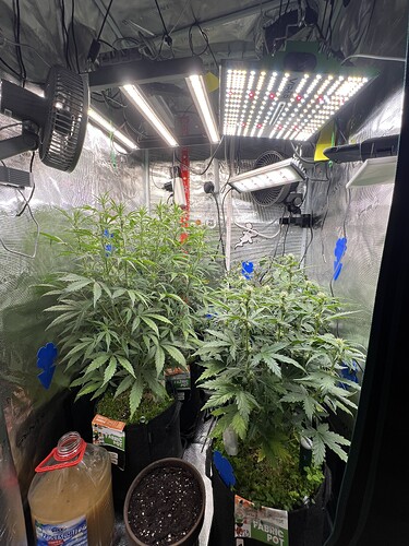 Growreport Bild 6