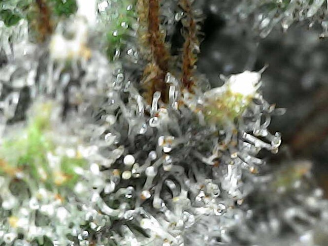 Photo_2025-04-28 16_27_47_005