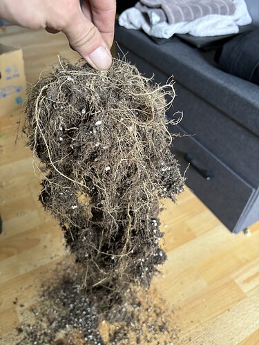 Growreport Bild 96