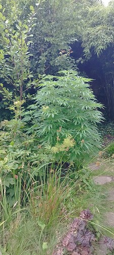 Growreport Bild 13