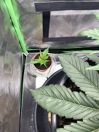 Growreport Bild 11