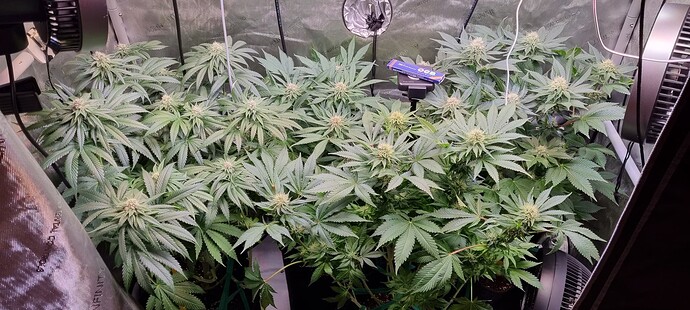 Growreport Bild 22