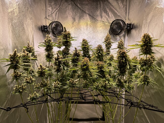 Growreport Bild 5