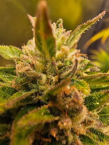 Growreport Bild 18