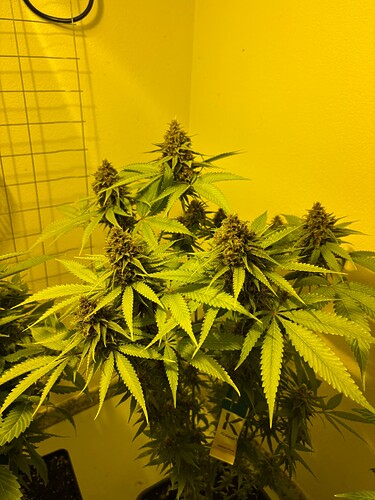 Growreport Bild 10
