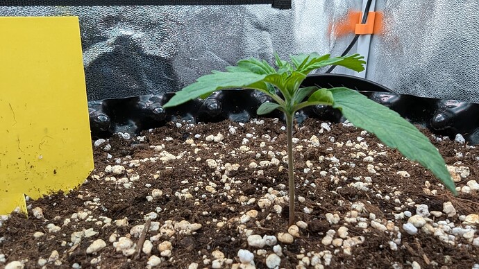 PXL_20240706_162759631