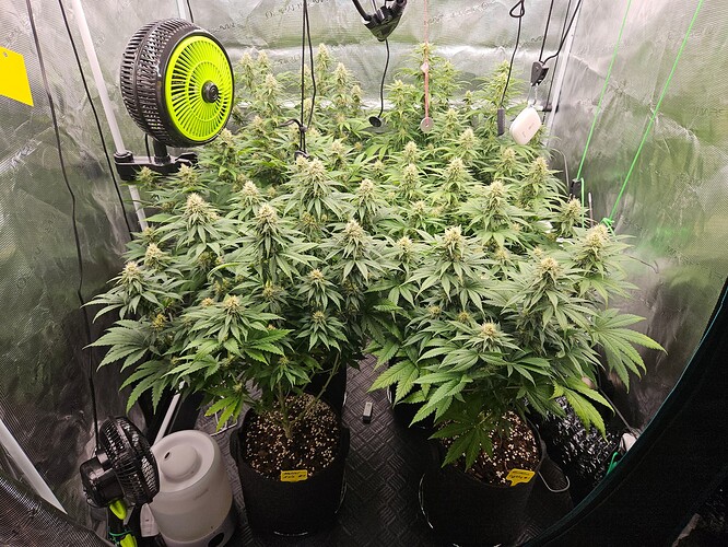 Growreport Bild 14