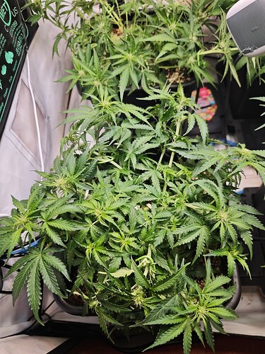 MVIMG_20251020_203847