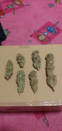 Growreport Bild 2