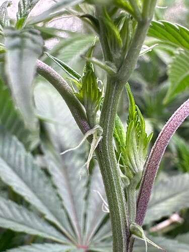 Growreport Bild 47