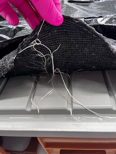 Growreport Bild 20