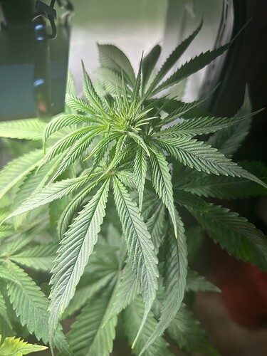 Growreport Bild 4