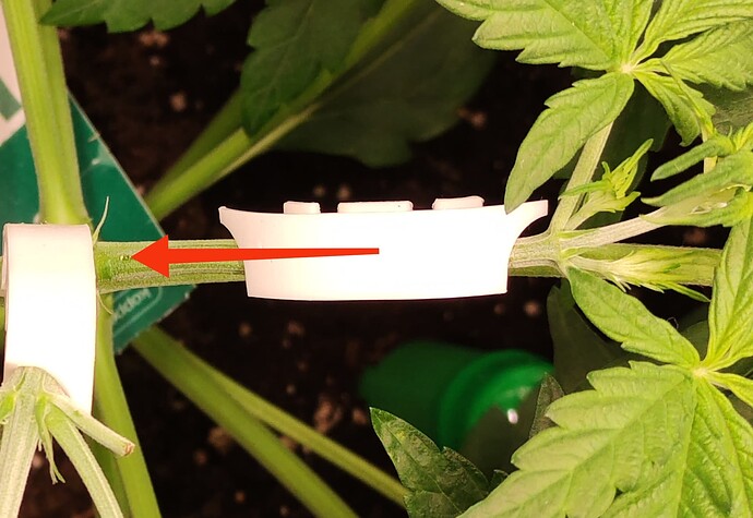 Growreport Bild 14