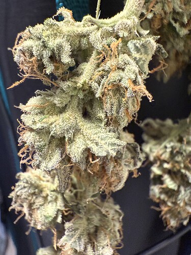Growreport Bild 1