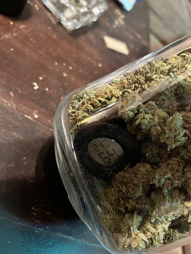 Nahaufnahme eines Glases mit getrockneten Cannabis-Blüten und einem digitalen Hygrometer im Inneren.