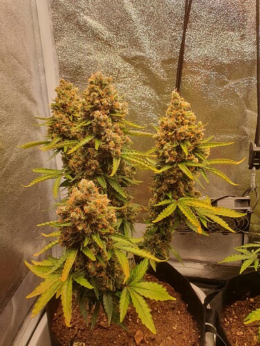 Growreport Bild 21