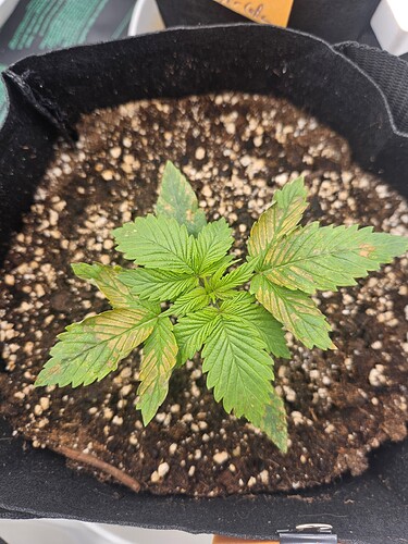 Growreport Bild 17