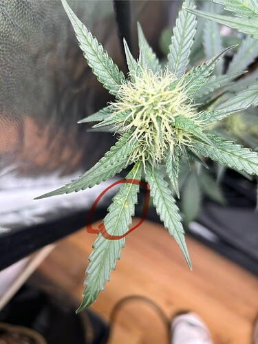 Growreport Bild 13