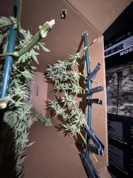 Growreport Bild 16