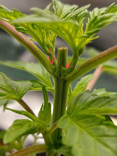 WhatsApp Image 2024-05-06 at 18.01.06