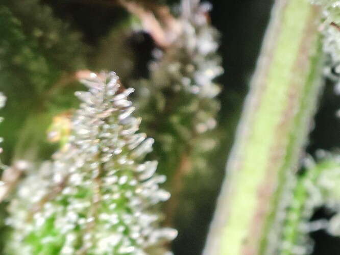 Growreport Bild 51
