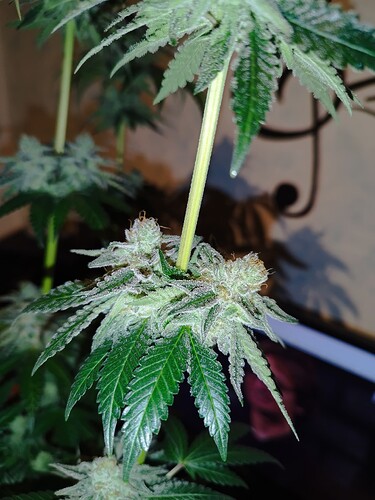 Growreport Bild 14