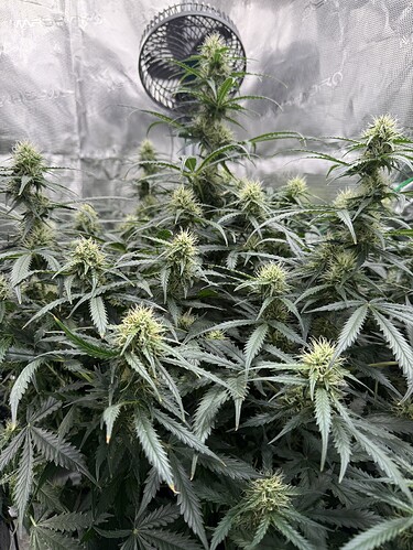 Growreport Bild 15