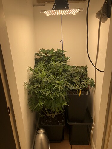 Growreport Bild 11