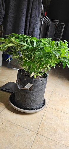 Growreport Bild 3