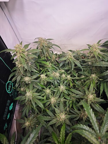 MVIMG_20251112_212319