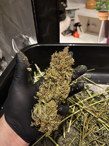Growreport Bild 2