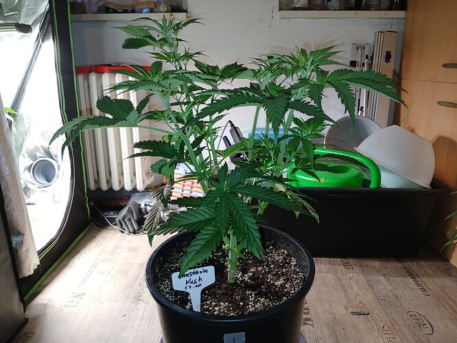Growreport Bild 20