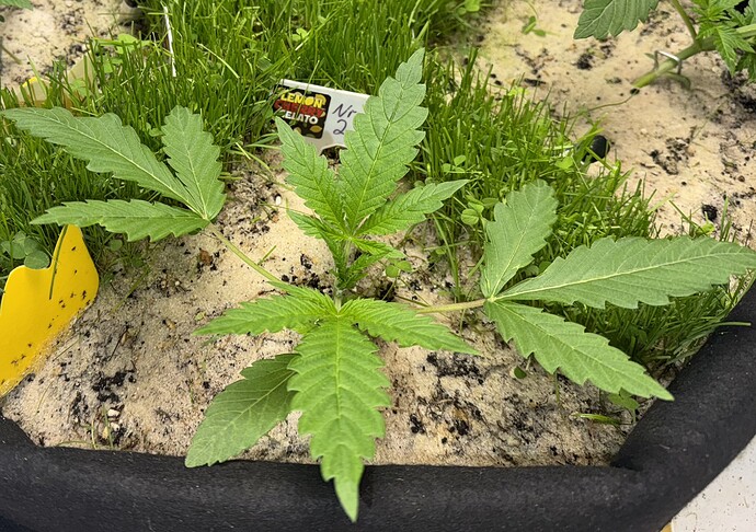 Growreport Bild 7