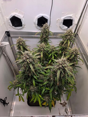 Growreport Bild 10