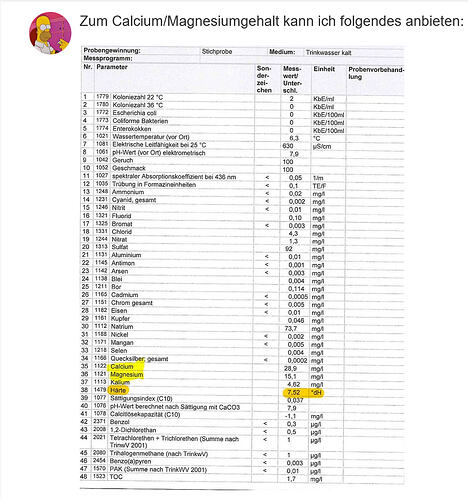 Wasser_Hochstadt
