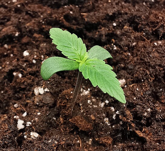 Growreport Bild 14
