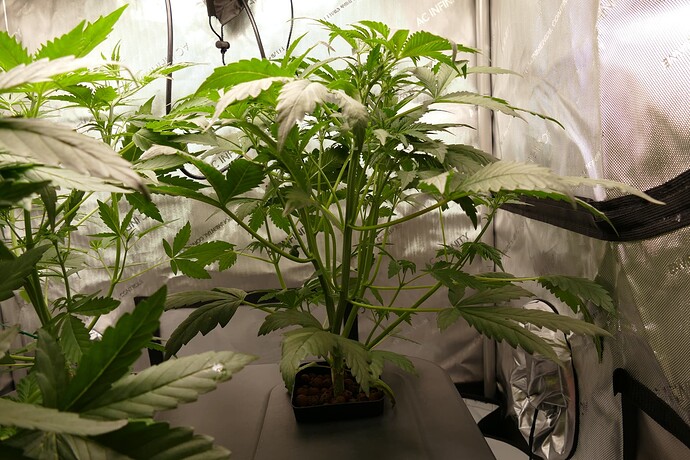 Growreport Bild 4