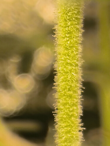 Growreport Bild 12