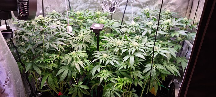 Growreport Bild 21