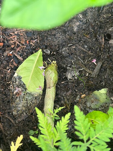 Growreport Bild 6