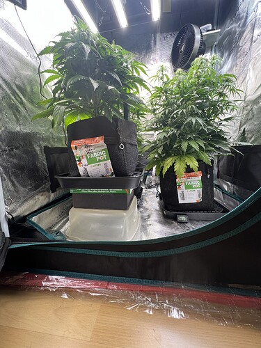 Growreport Bild 9