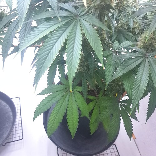 Growreport Bild 22