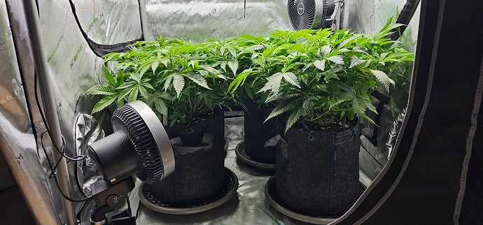 Growreport Bild 17