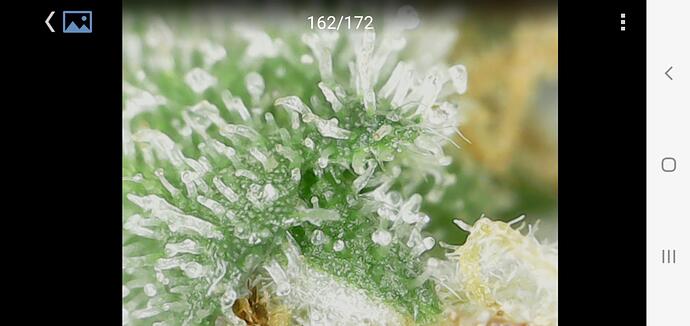 Growreport Bild 12