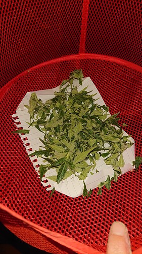 Growreport Bild 18